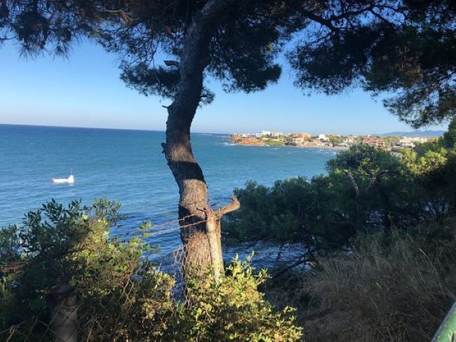 Ραφήνα: Νέα σελίδα για το ιστορικό «Μελτέμι» – Επιστροφή στα παλιά με νέο εκμισθωτή – rpn