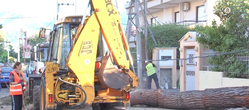 Δέντρο ύψους 15 μέτρων έπεσε σε αυτοκίνητο στην Κηφισιά – Προβλήματα στην ηλεκτροδότηση και υλικές ζημιές