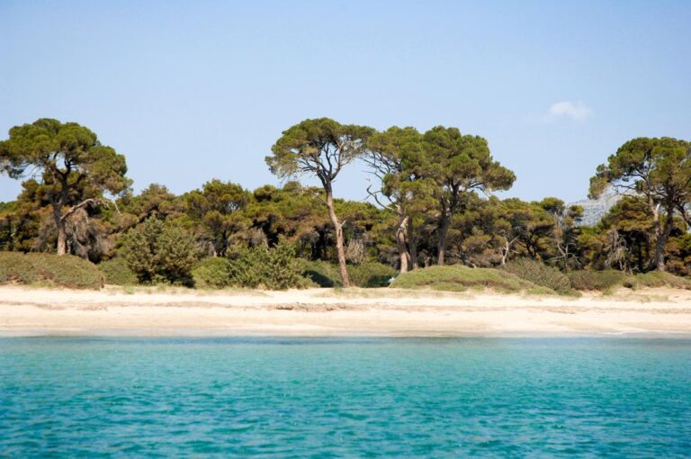Κλειστό την Κυριακή 22/6 το πευκοδάσος στο Σχινιά, λόγω πολύ υψηλής κατηγορίας κινδύνου πυρκαγιάς – rpn