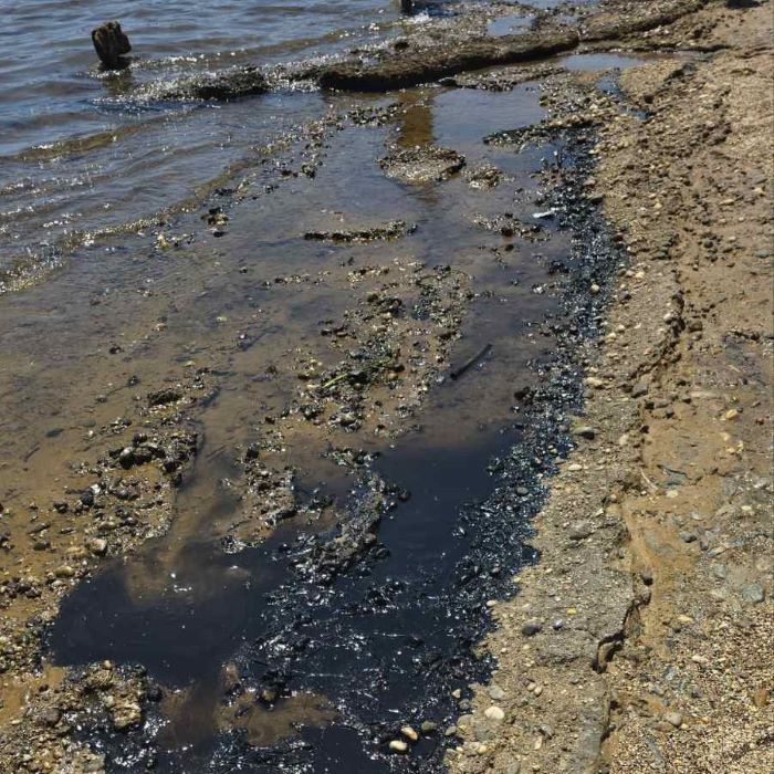 Ραφήνα: Εντοπίστηκε ρύπανση στην παραλία «Μαρίκες» – Σε κινητοποίηση οι αρχές – rpn