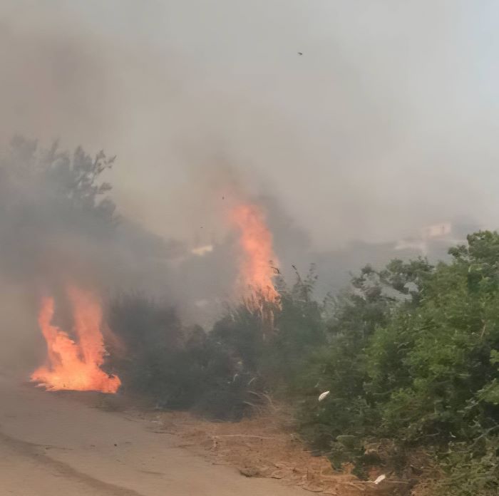 Φωτιά στην Παλλήνη που τέθηκε άμεσα υπό έλεγχο – rpn