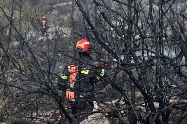 Πανεπιστημιούπολη: Πώς ξέσπασε η φωτιά – Τα σενάρια που εξετάζει η Πυροσβεστική