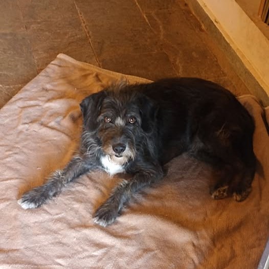 Χάθηκε από την β’ είσοδο του Ν.Βουτζά η Κλόντια – rpn