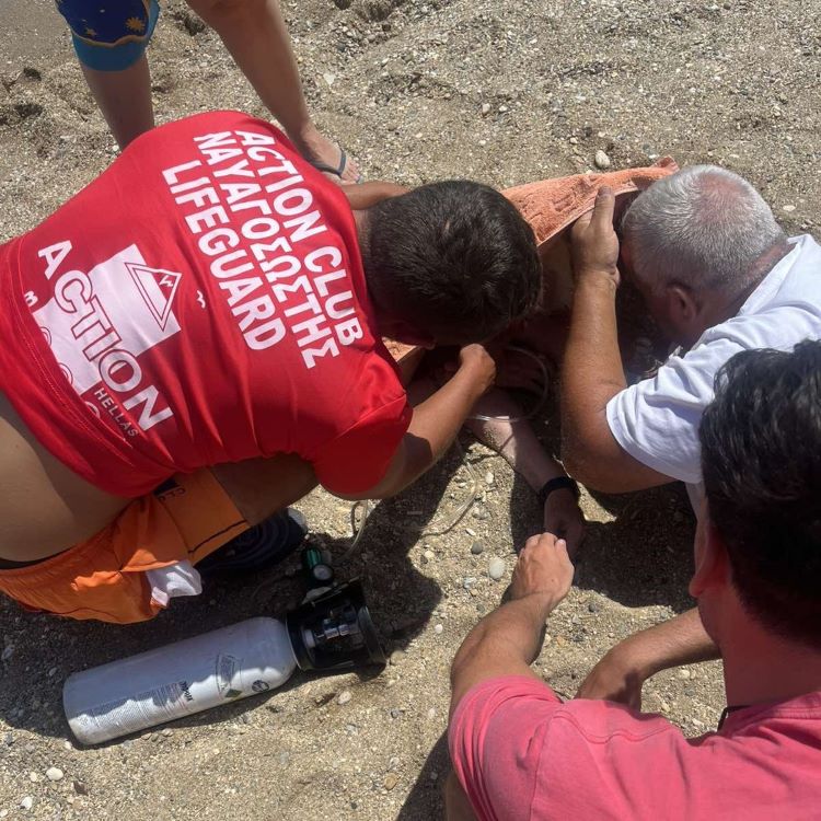 Νέα Μάκρη: Ηρωική διάσωση 83χρονης στην παραλία Μπρεξίζα – Άμεση επέμβαση ναυαγοσωστών έσωσε τη ζωή της