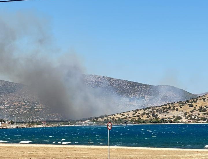 Πυρκαγιά στο Θορικό (Λαύριο) – Ήχησε το 112 – rpn