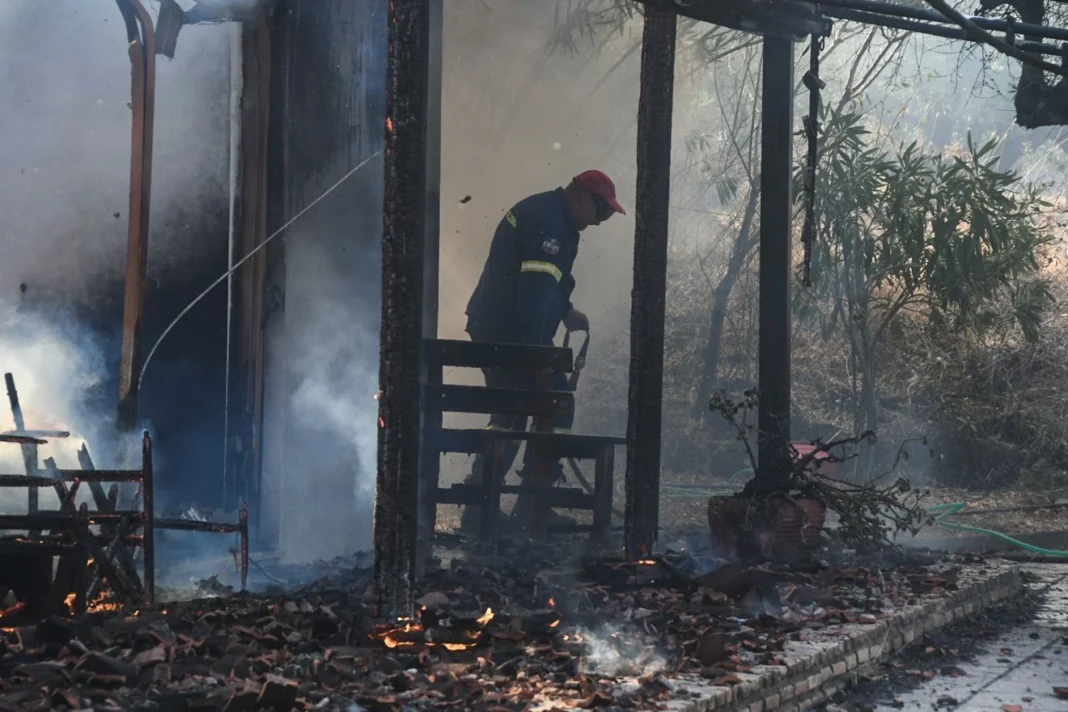 Φωτιά στην Αχαΐα: Ανυπολόγιστες καταστροφές – Δείτε βίντεο και φωτογραφίες