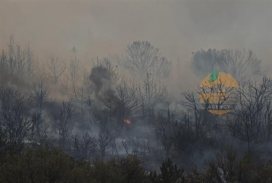 Φωτιά σε τρία διαφορετικά σημεία στην Πολυτεχνειούπολη – Τέθηκε γρήγορα υπό έλεγχο – rpn