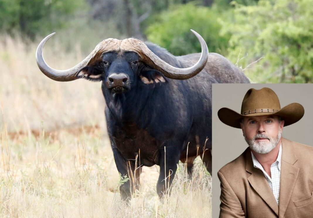 Νότια Αφρική: Βούβαλος τρύπησε και σκότωσε έναν εκατομμυριούχο κυνηγό από το Τέξας