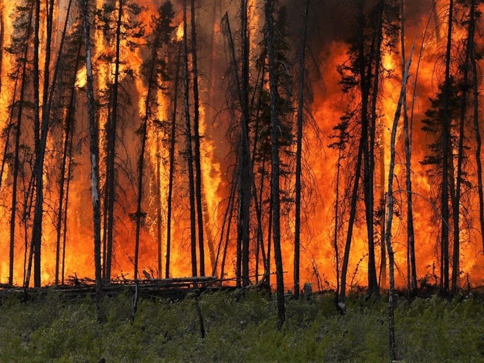Εκατοντάδες πλεονάζοντες θάνατοι αποδίδονται στις μεγάλες πυρκαγιές του Λος Άντζελες