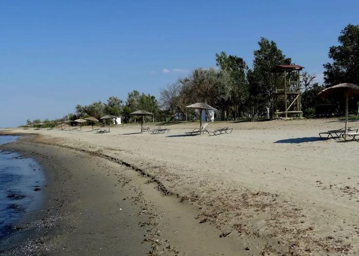 Θάνατος 11χρονης στη Ροδόπη: Συνελήφθησαν ακόμη 4 άτομα εκτός από τους γονείς της – rpn