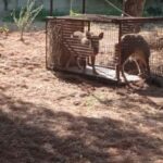 εικόνα_Viber_2025-08-12_09-23-00-808