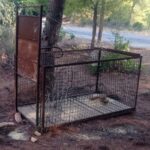 εικόνα_Viber_2025-08-12_09-23-30-625