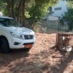 εικόνα_Viber_2025-08-12_10-34-05-594