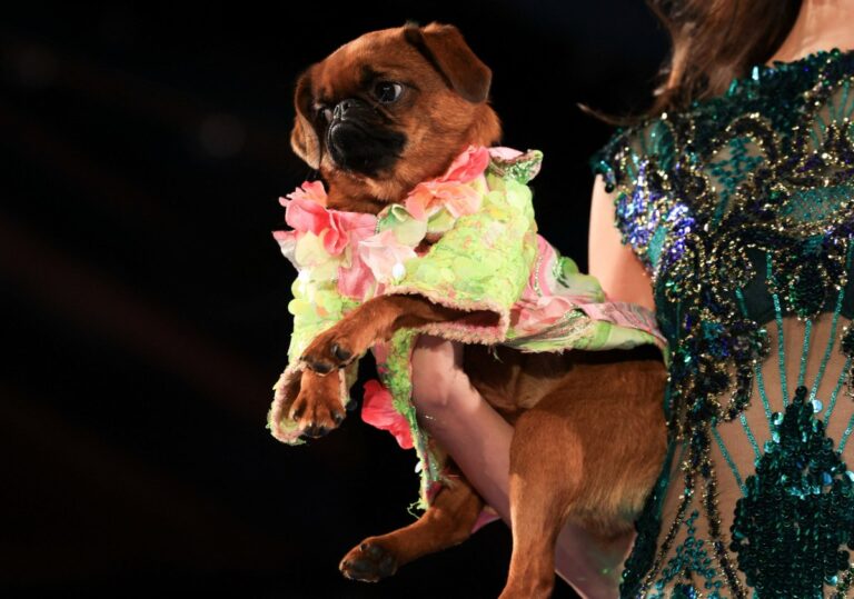 Εβδομάδα μόδας Νέας Υόρκης: Υψηλή ραπτική για τετράποδα και couture ενσυναίσθηση – «Όχι άλλη κακοποίηση»