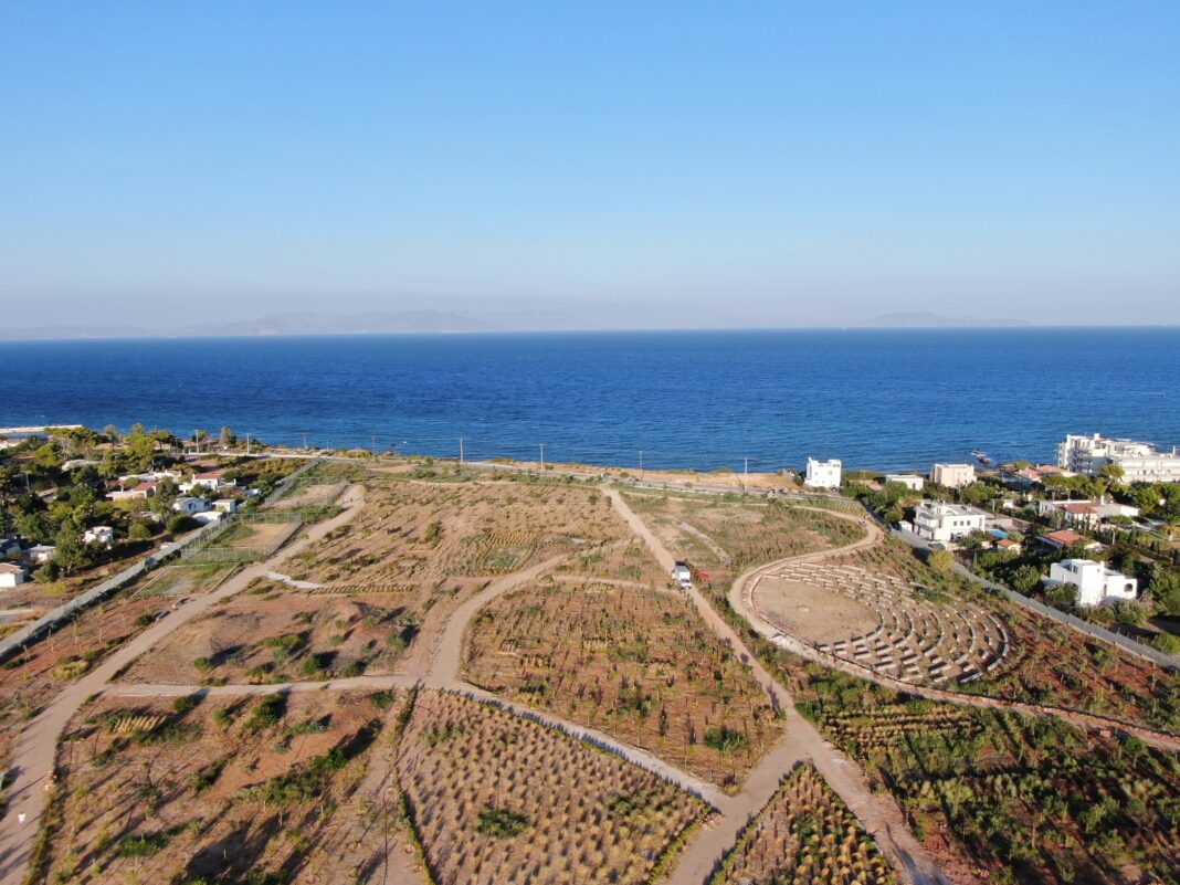 Το Πάρκο στο Μάτι παίρνει σάρκα και οστά