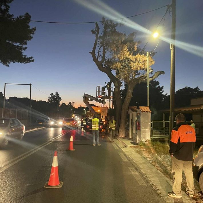 Ο δήμος Ραφήνας Πικερμίου έκοψε τρία (ξερά) πεύκα στην Λεωφόρο Φλέμινγκ – rpn