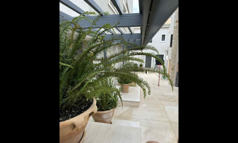 NATURE IN EVERY DETAIL: Ο ειδικός στη φροντίδα του κήπου σας, με έδρα το Πικέρμι – rpn