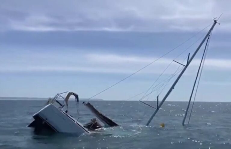 Πορτογαλία: Όρκες βύθισαν τουριστικό σκάφος – Η σοκαριστική στιγμή της επίθεσης
