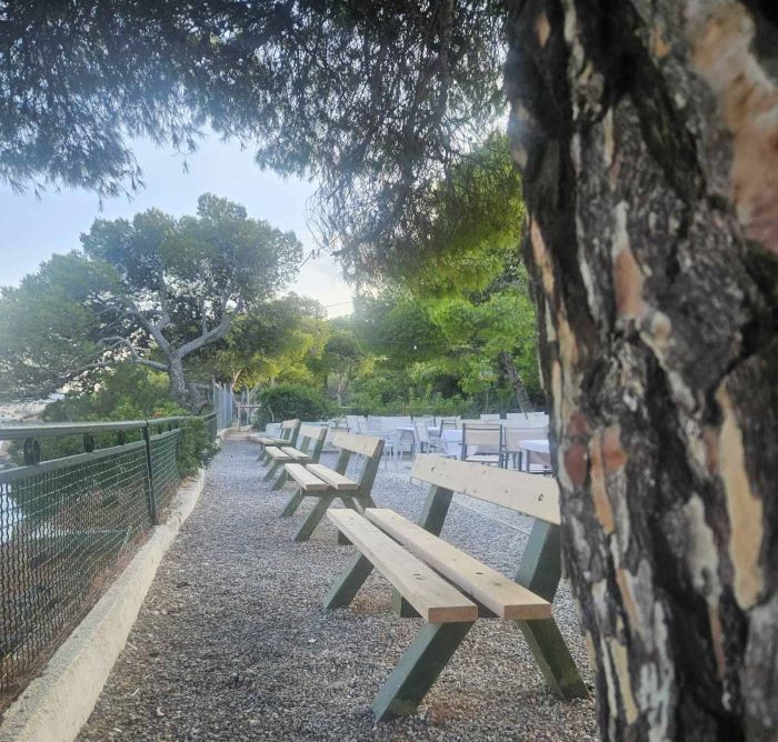 Τα παγκάκια της σιωπής