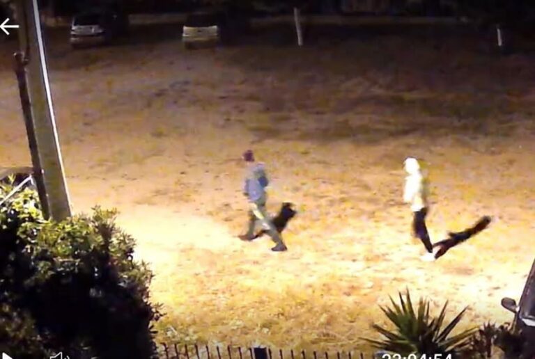 Πικέρμι: Ακόμη μια διάρρηξη στη Διώνη, το βράδυ της Πέμπτης – rpn