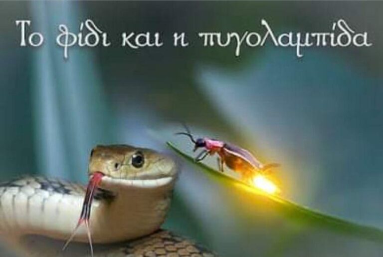 Κατερίνα Τράση: Όταν ο θόρυβος της επιτυχίας ενοχλεί…