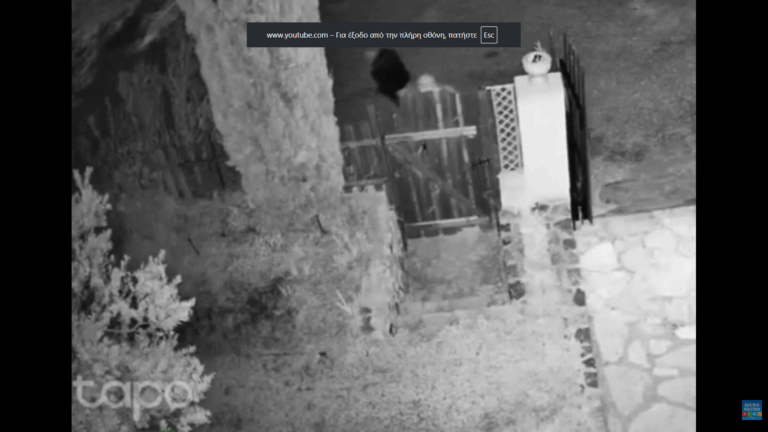 Καταδίωξη στη Διώνη: Από Νταού μέχρι Ντράφι μέσα στη νύχτα από 4 μηχανές της ομάδας ΔΙΑΣ (βίντεο)