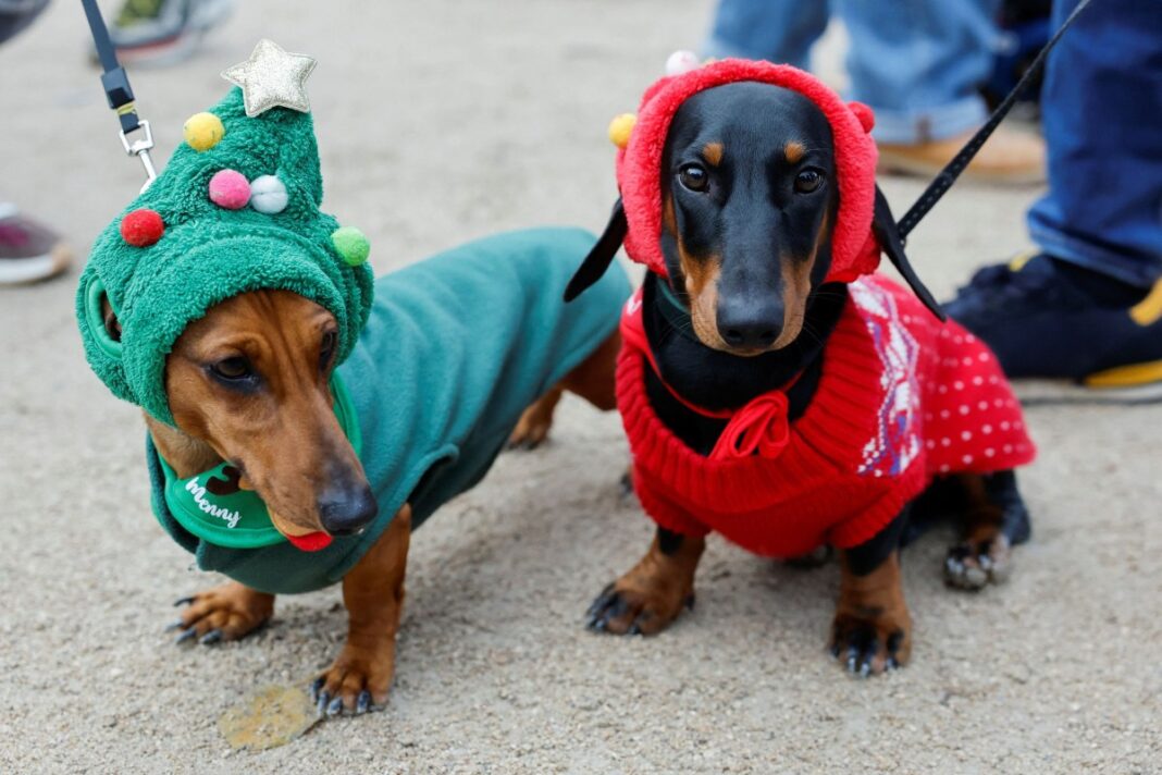 Παρίσι: Γιατί βγήκαν ομαδικά στους δρόμους τα τετράποδα…. λουκάνικα
