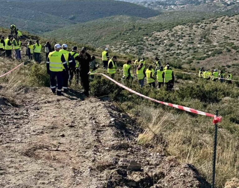 Δήμος Παλλήνης: Νέες φυτεύσεις δέντρων – Ανάσα ζωής για την πόλη