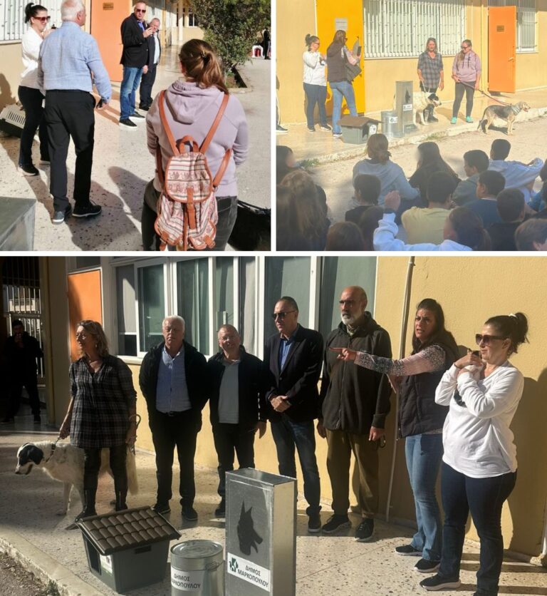 Δήμος Μαρκοπούλου Μεσογαίας: Δράση για τα αδέσποτα ζώα συντροφιάς