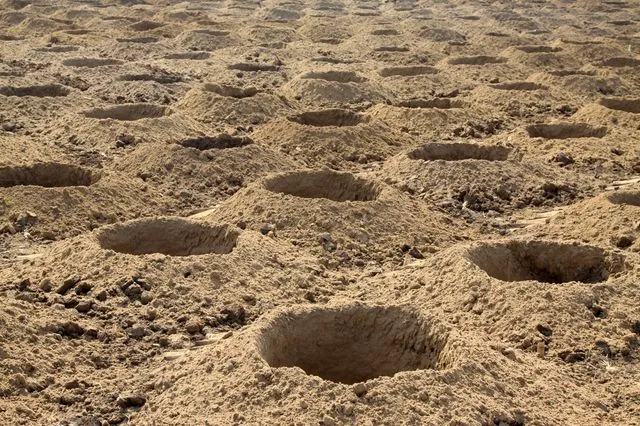 Λύθηκε το μυστήριο με τις 5.000 τρύπες σε κοιλάδα του Περού