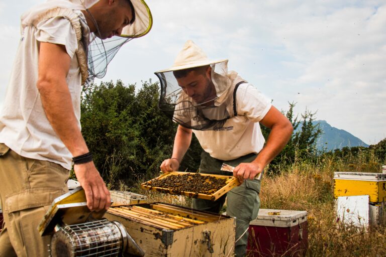 Πώς ξεχωρίζουμε το καλό αγνό μέλι: Μύθοι και Πραγματικότητα