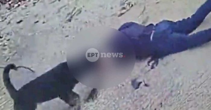 Μάχη για τη ζωή του δίνει ο 76χρονος – Ροτβάιλερ τον κατασπάραξε στην αυλή του σπιτιού του – rpn