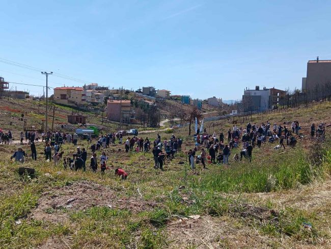 Πικέρμι: Ανακοίνωση για την επικείμενη δενδροφύτευση στην Διώνη – rpn