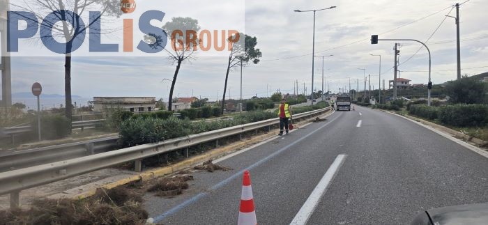 Εργασίες καθαρισμού στη Λεωφόρο Μαραθώνος ενόψει του 42ου Αυθεντικού Μαραθωνίου – rpn