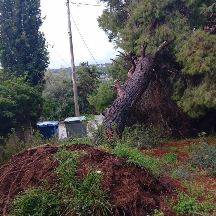 Δηλώσεις Δήμητρας Τσεβά εξ αφορμής της κακοκαιρίας Byron – rpn