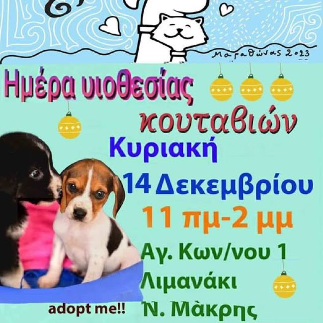 Νέα Μάκρη: Ημέρα υιοθεσίας κουταβιών την Κυριακή 14 Δεκεμβρίου – rpn