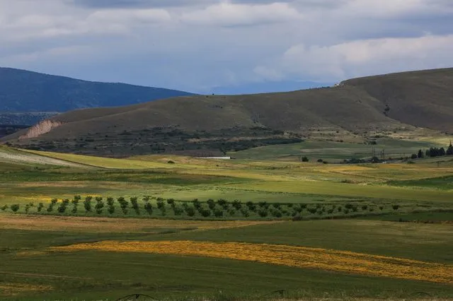 Ακόμα και ανύπαρκτα χωράφια ή χωράφια πεθαμένων δήλωναν οι “αετονύχηδες” του ΟΠΕΚΕΠΕ