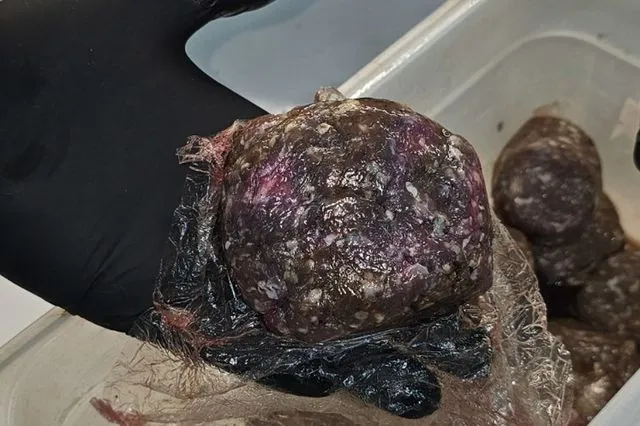 Σαρωτικοί έλεγχοι στην αγορά: Κατασχέθηκαν 12 τόνοι ακατάλληλων προϊόντων στην Αττική