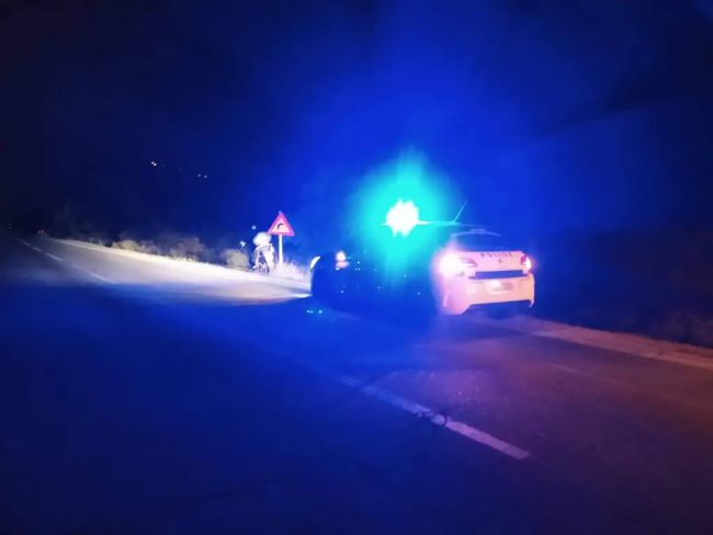 Προσοχή: Σκοτωμένο αγριογούρουνο στη Λεωφόρο Μαραθώνος – Στο σημείο συνεργείο του Δήμου για την απομάκρυνση