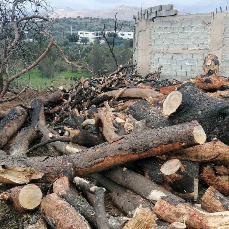 Δωρεάν διανομή καυσοξύλων την Τρίτη 20/1 από τον Δήμο Σπάτων – Αρτέμιδος – rpn