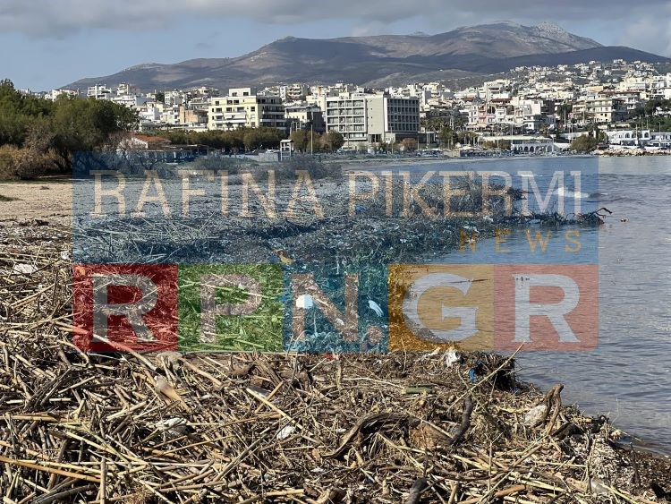 Οργανισμός Λιμένος Ραφήνας: Ποιες παραλίες είναι μη ασφαλείς για επίσκεψη και χρήση λόγω φερτών υλικών – rpn