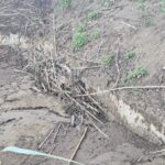 623305376_10214927587098511_4704538529350391076_n