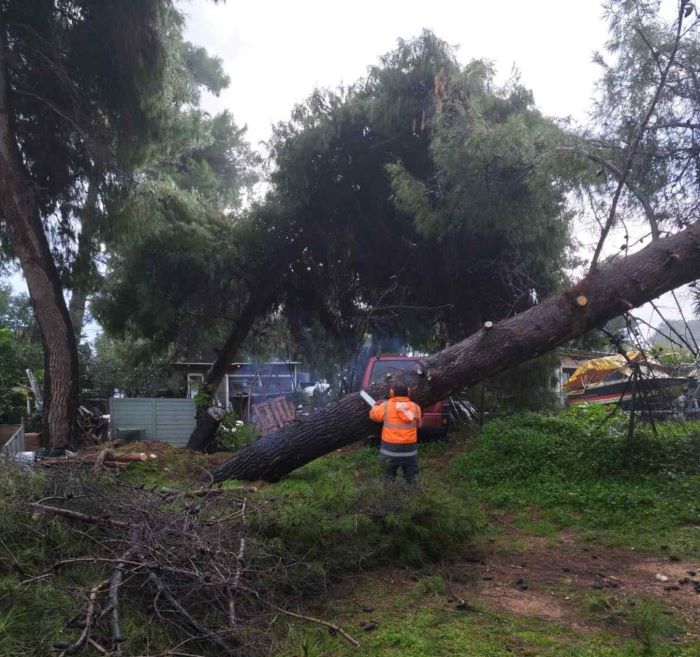 Επιχειρησιακές παρεμβάσεις του Δήμου Ραφήνας Πικερμίου μετά την επέλαση της κακοκαιρίας (φωτογραφίες) – rpn