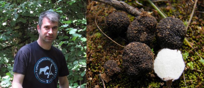 Νέο είδος μανιταριού στη Ραφήνα και την Αρτέμιδα: Ένας «υπόγειος θησαυρός» της Ανατολικής Αττικής – rpn