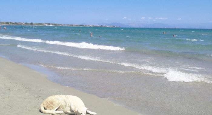 Τελευταίο μπάνιο για 74χρονη στην παραλία της Αρτέμιδας