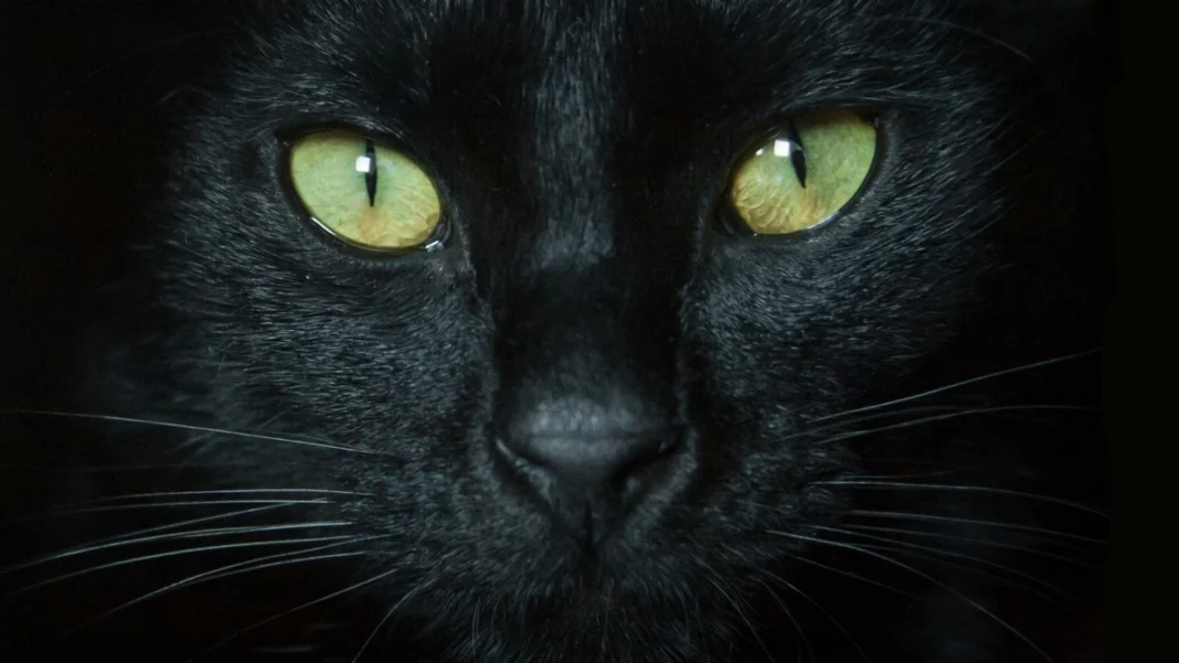 Γρουσουζιά: Τρίτη και 13 για Έλληνες – Παρασκευή και 13 για τον υπόλοιπο κόσμο – Ιστορικά γεγονότα/θρησκευτικοί συμβολισμοί/αστρολογικές παραδόσεις