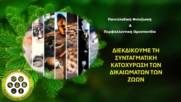 Συνταγματική κατοχύρωση της προστασίας των δικαιωμάτων των ζώων