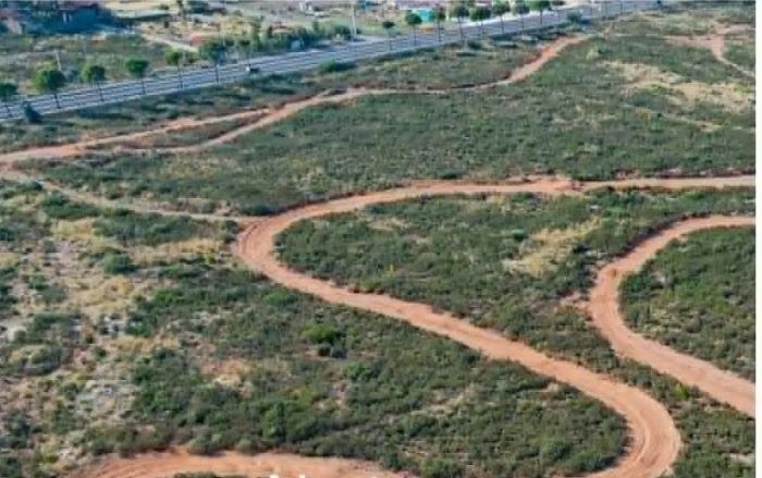 Νέα Μάκρη: Ερώτηση στη Βουλή για παράνομη λειτουργία πίστας μοτοκρός σε δασική αναδασωτέα περιοχή