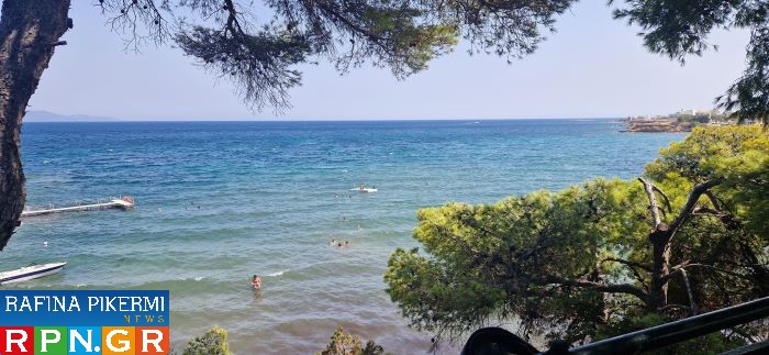 Ραφήνα: Το νέο Δ.Σ του συνεταιρισμού ΜΕΛΤΕΜΙ – Πρόεδρος ο Νίκος Χατζηαργυρίου