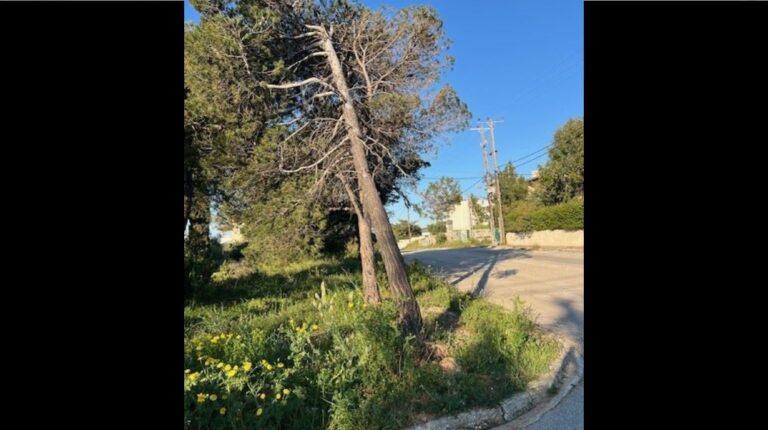 Καλλιτεχνούπολη: Δεν είναι εύκολο να εξηγήσεις τι σημαίνει να φοβάσαι τον δρόμο που περνάς κάθε μέρα